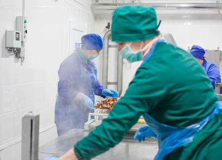 SHUCHIN, BELARUS - JANUARY 26, 2015. Women engaged in the packaging of cheese on a cheese factory.