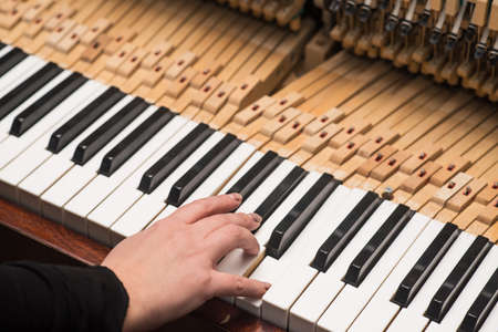 hand with vintage piano hammer mechanism. Prepare to repair.