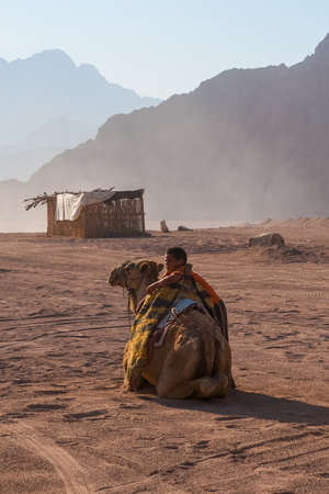 SHARM EL SHEIKH, EGYPT - JULY 9, 2009. boy stands next to a camel in the desert.のeditorial素材