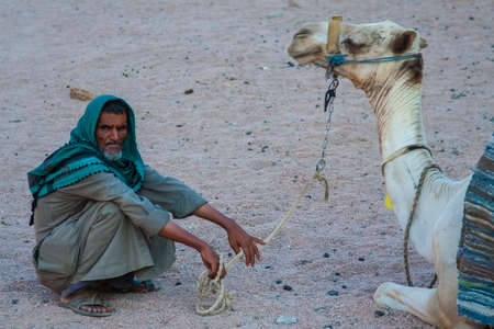 SHARM EL SHEIKH, EGYPT - JULY 9, 2009. Bedouin is a camel in the desert.のeditorial素材
