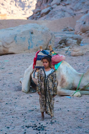 SHARM EL SHEIKH, EGYPT - JULY 9, 2009. little girl stands in the desert camel in the background.のeditorial素材