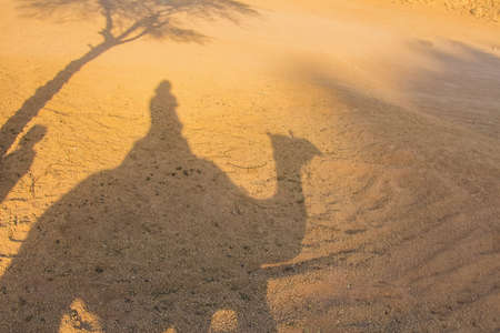 a person riding a camel while on safari.の写真素材