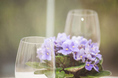 Row of empty wine glasses on bar counterの写真素材