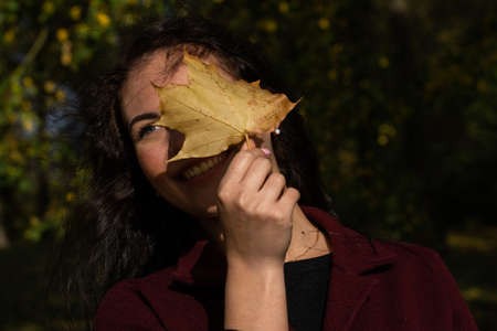 Beautiful young girl in the autumn forest on a sunny dayの写真素材