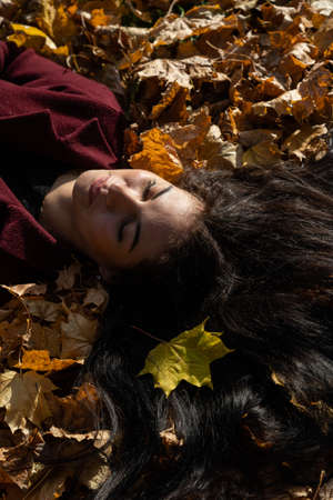 Beautiful young girl in the autumn forest on a sunny dayの写真素材