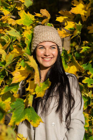 Beautiful young girl in the autumn forest on a sunny dayの写真素材