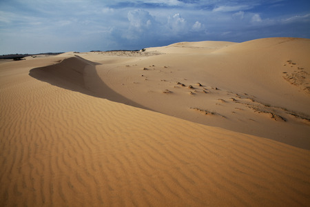 Dunes in Vietnamの写真素材
