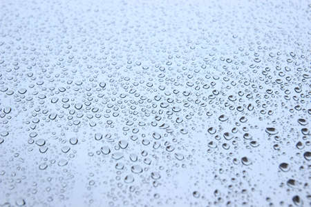Rain dropsの写真素材