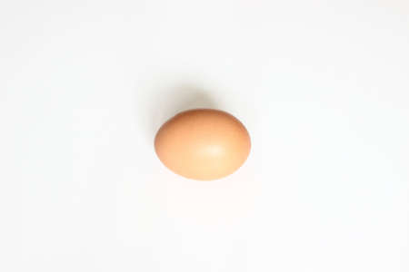 Egg on white background