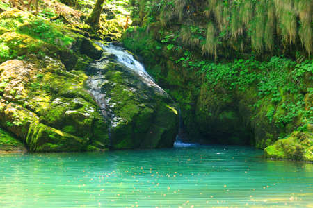 Small waterfallの写真素材