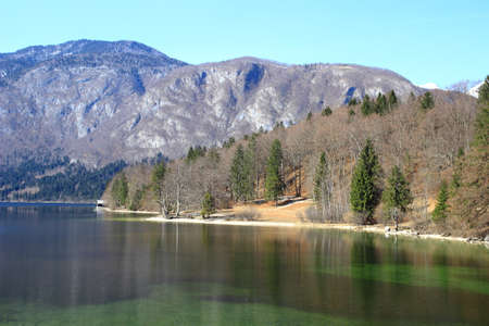 Beautiful nature on the Lake Bohinj in Triglav National park in Sloveniaの写真素材