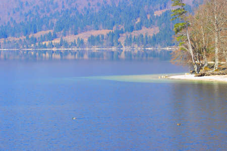 Beach on the Lake Bohinj in Sloveniaの写真素材