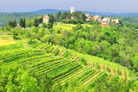 Small village in Istria, Croatiaの写真素材