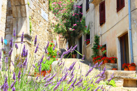 Street with flowers in Motovun, Croatiaの写真素材