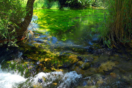 Fresh water on waterfall Kravice in Bosnia and Herzegovinaの写真素材