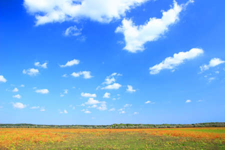 Beautiful landscape in fall