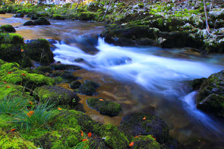Fast creek flow (Kamacnik, Croatia)の写真素材