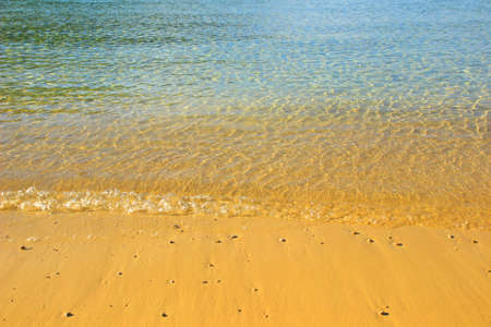 Sandy beachの写真素材