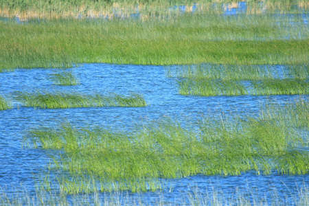 Vransko lake in Croatiaの写真素材