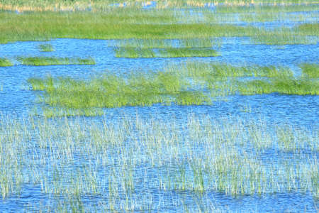 Vransko lake in Croatiaの写真素材