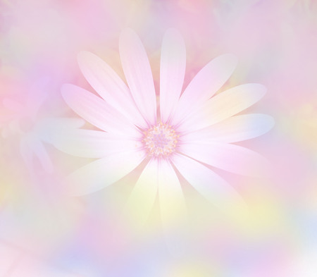 Blurred beautiful flowers soft color for background,closeupの写真素材