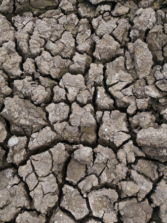 Drought,Dry soil, Cracked Ground texture backgroundの写真素材