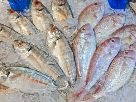 Group of mackerel fish with ice for sell at market