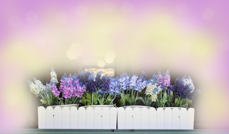 Abstract blurred beautiful lavender flower in vase soft color for background with blank spaceの写真素材