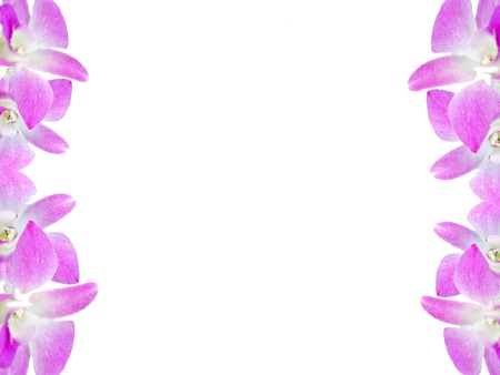 Beautiful orchid flowers frame isolated on white background for greeting card or your designの写真素材