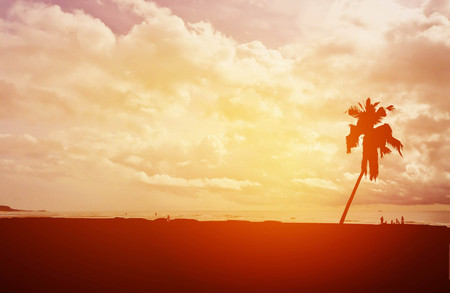 Silhouette coconut palm trees and people on beach with sunset sky.の写真素材