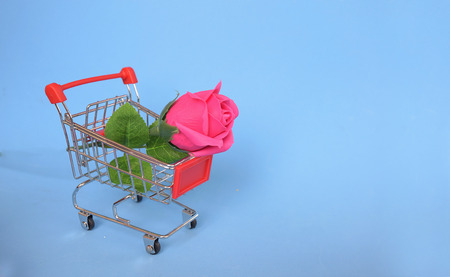 Pink rose flower on shopping cart with blue background Love and happy Valentine's day conceptの写真素材