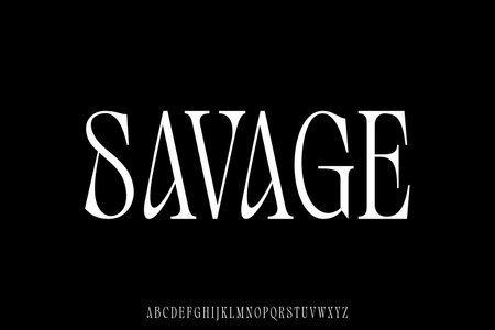 Unique and attractive serif display font vectorのイラスト素材