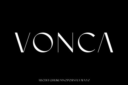 Elegant minimalist alphabet display font vector. Luxury and feminine typeface.のイラスト素材