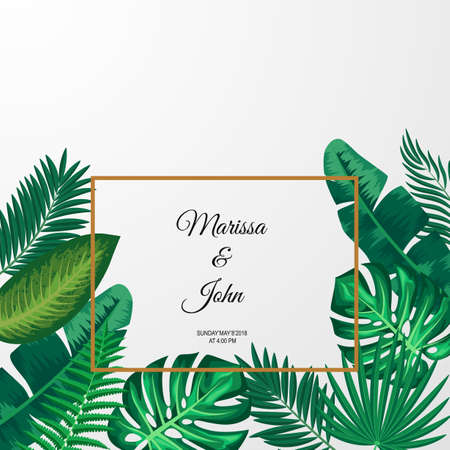 Vector illustration of trendy Summer Tropical Leaves.のイラスト素材