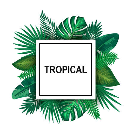 illustration of trendy Summer Tropical Leavesの写真素材