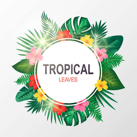 Green summer with exotic palm leaves and hibiscus flowers.  illustrationの写真素材