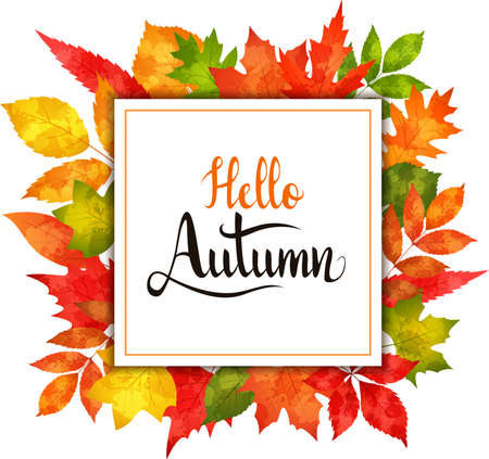 Autumn banner with leaves. Vector illustrationのイラスト素材