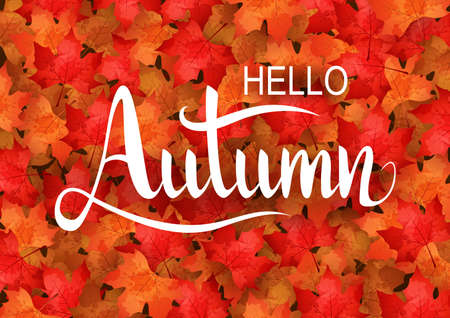 Autumn background. vector illustrationのイラスト素材