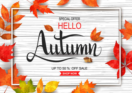 Autumn sale with white sale frame. vector illustrationのイラスト素材