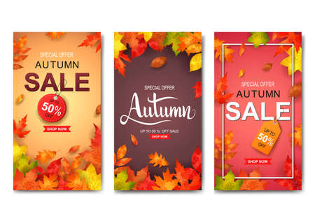 Set of three autumn banner.  illustrationの写真素材