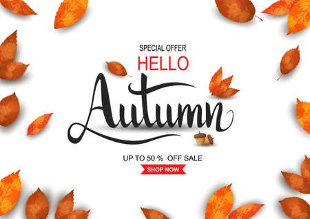 Autumn sale background.  illustrationの写真素材