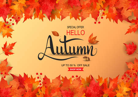 Autumn sale background. illustrationの写真素材