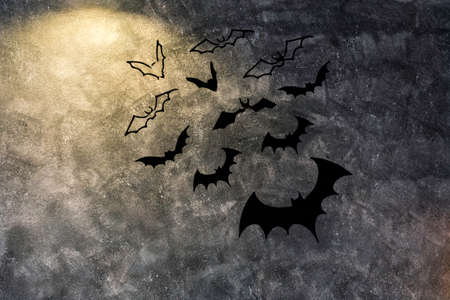 Bat background vintage image,vintage background.の写真素材