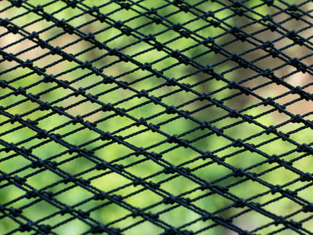 Black mesh background is green.の写真素材