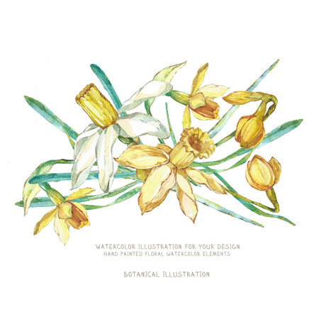 Flower  in watercolor style. Decor for invitations, greeting cards, posters.の写真素材