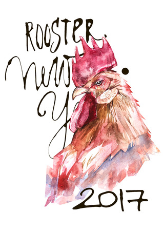 Beautiful colorful and bright watercolor rooster. Hand drawn illustration for your graphic design. Cock - Symbol of New Year 2017. Hand letteringの写真素材