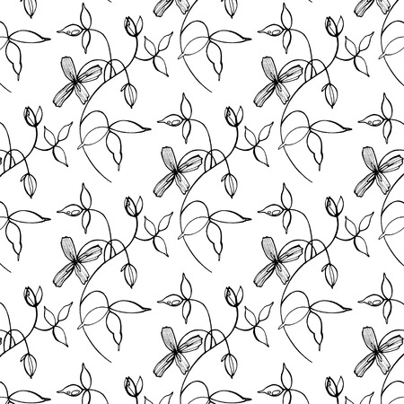 Hand drawn graphic flowers on white backgroundのイラスト素材