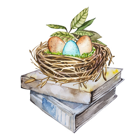 Hand drawn watercolor art bird nest with eggs on the books, easter design. Isolated illustration on white background.の写真素材