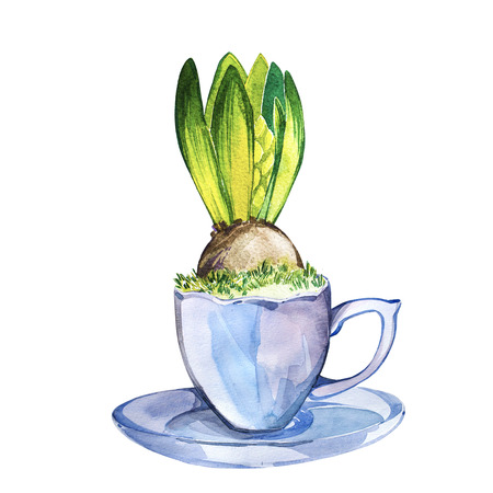 Watercolor hand painted hyacinth flowers in a mug. Isolated illustration on white background. Easter design.の写真素材