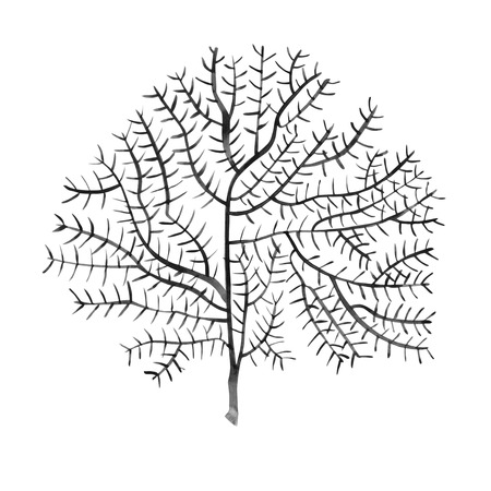 Graphic coral. Aquarium concept for Tattoo art or t-shirt design isolated on white background.の写真素材